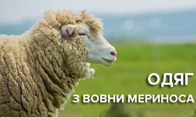 Все про одяг із мериносової вовни та його властивості