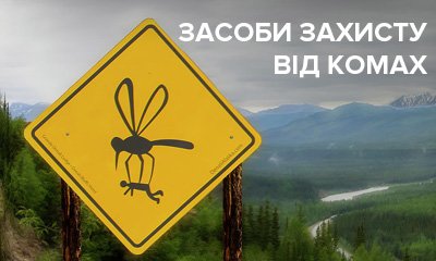 Как в походе защититься от клещей, комаров и других насекомых