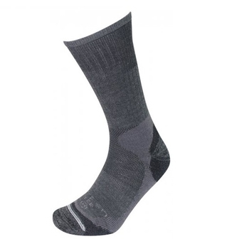 Шкарпетки Трекінгові Lorpen TCP grey 501 - фото