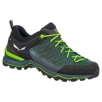 Кроссовки мужские Salewa MS MTN Trainer Lite GTX (61361 5945) - Green - фото