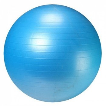 Мяч для фитнеса LiveUp Anti-Burst Ball 55 см LS3222-55b - фото