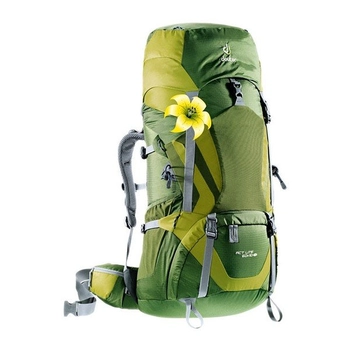 Рюкзак Deuter Aircontact 50 + 10 SL pine-moss (3320216 2250) - фото