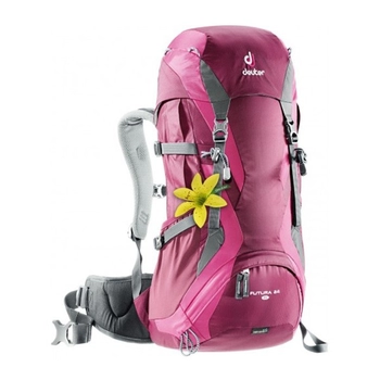 Рюкзак Deuter Futura 24 SL blackberry-magenta (34224 5053) - фото