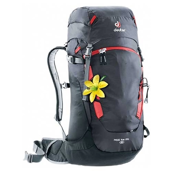 Рюкзак Deuter Rise 26 SL graphite-black (3301018 4701) - фото