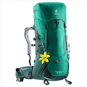 Рюкзак Deuter Aircontact Lite 35+5 SL alpinegreen-forest (3340018 2231) - фото