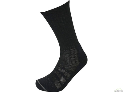 Шкарпетки Трекінгові Lorpen TCCFN total black (6310302 1887) - фото