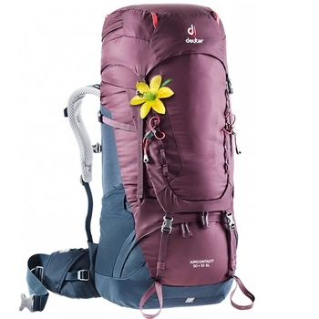 Рюкзак Deuter Aircontact 50 + 10 SL blackberry-navy (3320219 5326) - фото