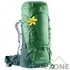 Рюкзак Deuter Aircontact 60 + 10 SL leaf-forest (3320419 2238) - фото
