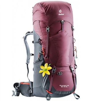 Рюкзак Deuter Aircontact Lite 60+10 SL maron-graphite (4340218 5423) - фото