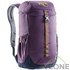 Рюкзак Deuter Walker 16 plum-navy (3810517 5317) - фото