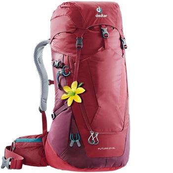 Рюкзак Deuter Futura 24 SL cranberry-maron (3400218 5528) - фото