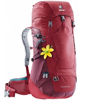 Рюкзак Deuter Futura 28 SL cranberry-maron (3400618 5528) - фото