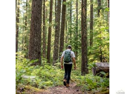 Рюкзак Osprey Sportlite 25, Pine Leaf Green - фото