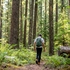 Рюкзак Osprey Sportlite 25, Pine Leaf Green - фото