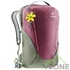 Рюкзак Deuter XV 2 SL maron-khaki (3850318 5206) - фото
