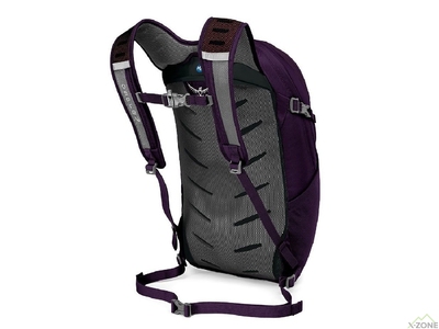 Рюкзак Osprey Daylite Travel (F19) Amulet Purple фиолетовый (009.2095) - фото