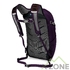 Рюкзак Osprey Daylite Travel (F19) Amulet Purple фиолетовый (009.2095) - фото