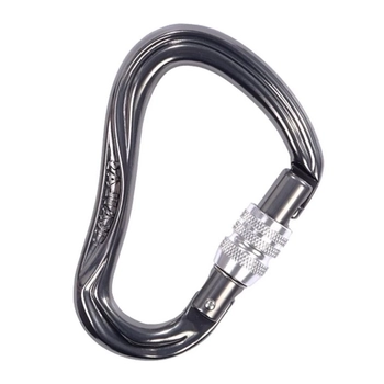 Карабін Kailas BLAZE SG Screw Gate Carabiner - фото