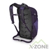 Рюкзак Osprey Daylite Plus 20L, Dream Purple (009.2475) - фото