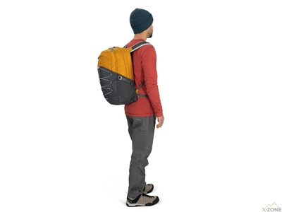 Городской рюкзак Osprey Quasar 26L, Pashmina/Tan Concrete - фото