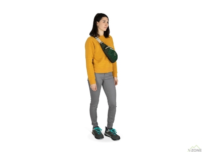 Сумка на пояс Osprey Daylite Waist, Night Shift Blue (009.3743) - фото