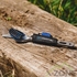 Ложка, вилка, нож Lifeventure Titanium Cutlery (9515) - фото