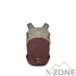 Городской рюкзак Osprey Nebula 32L, Sawdust Tan/Raisin Red - фото