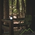 Фонарь Thermacell Mosquito Repellent Camp Lantern MR-CLE - фото