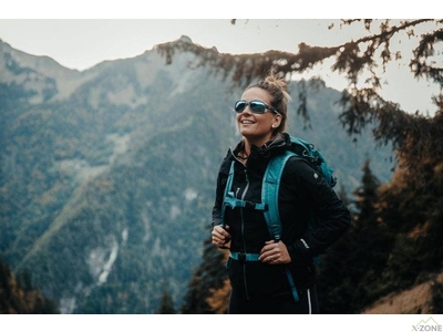 Солнцезащитные очки Julbo Monterosa 2 Reactiv HM 2-4 Polarized, Black/Brown - фото