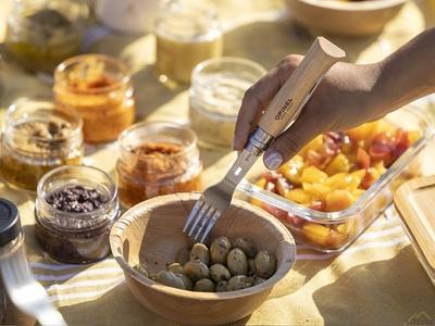 Нож складной Opinel №8 VRI Picnic+ - фото
