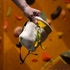 Мешочек для магнезии Meru Winter furry bag, Yellow top/White bottom - фото