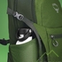 Рюкзак Osprey Daylite Plus 20L, Green Belt/Green Canopy (009.3726) - фото