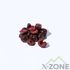 Сублимированная вишня в темном шоколаде Panfruit Chocolate Cherry 50 г - фото