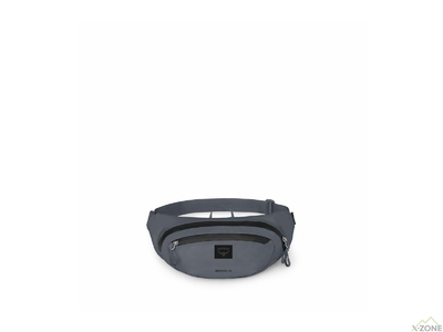 Сумка на пояс Osprey Daylite Waist Earth, Tungsten Grey (009.4176) - фото