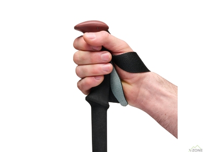 Трекинговые палки Black Diamond Trail, Iron Red (BD 1100456053ALL1) - фото