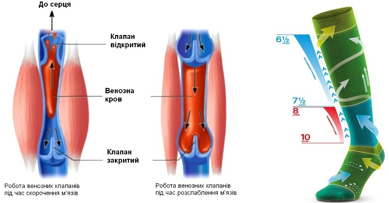 Чим особлива та для чого потрібна компресійна білизна