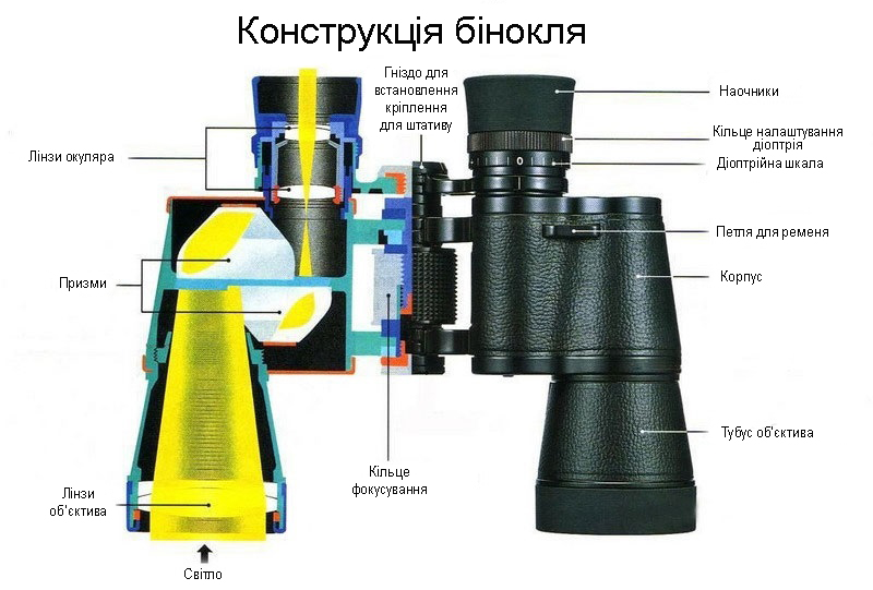 Будова біноклів