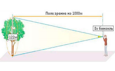 Поле зрения