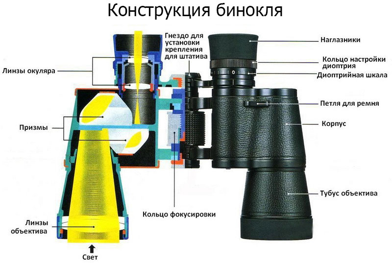 Конструкция биноклей