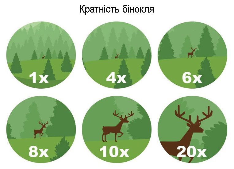 Кратність