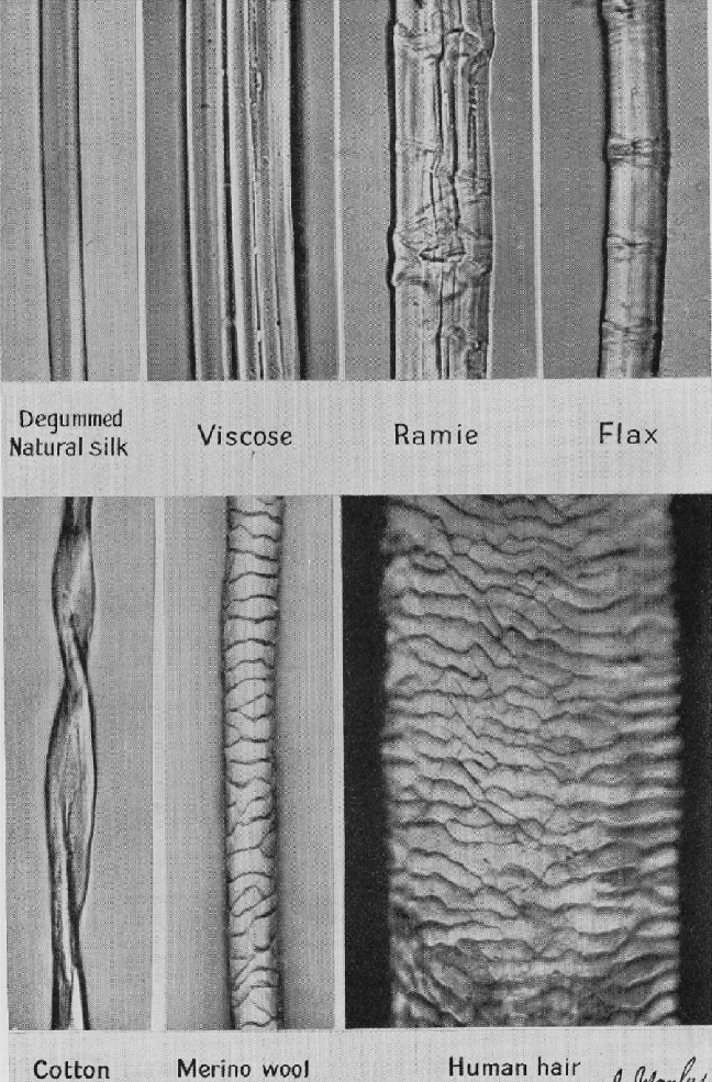 Сравнение размера и структуры разных типов волокон.
