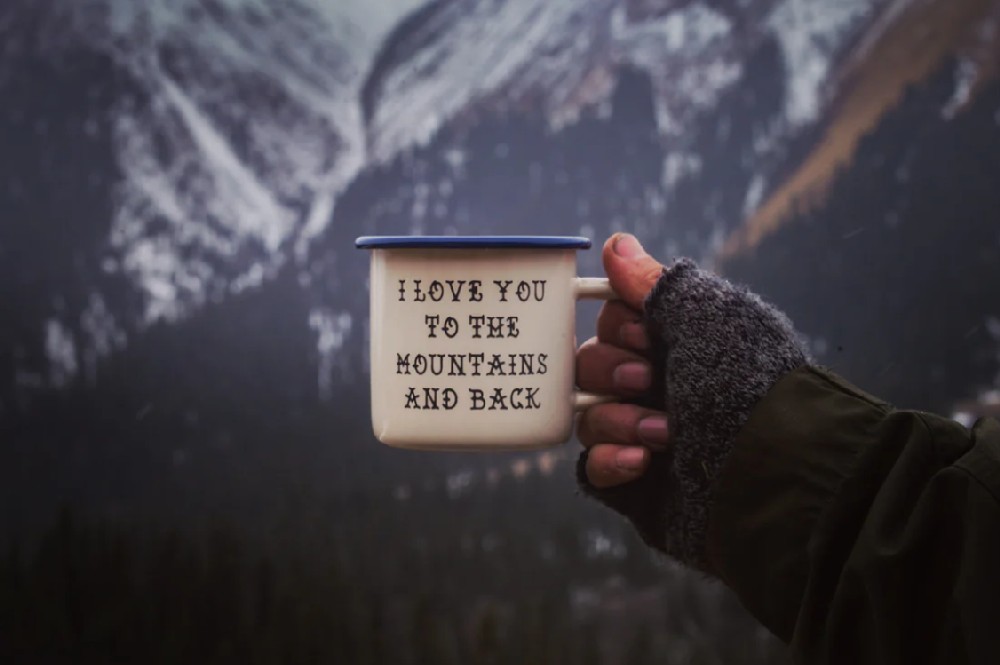 Два рецепта напитков из лесных ягод и фруктов