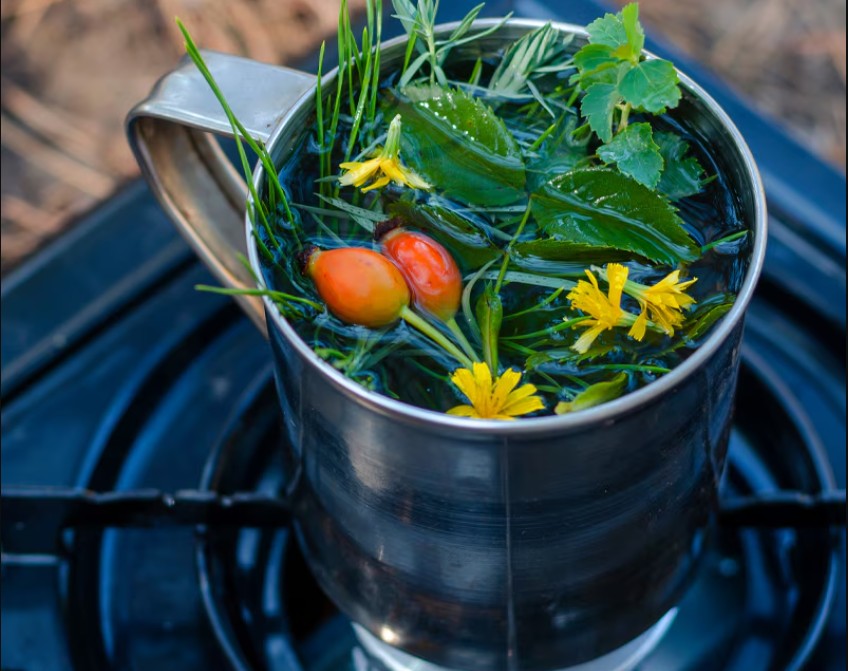 Как в походных условиях заварить ягодно-травяной чай