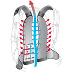 Система спинки Deuter Airstripes